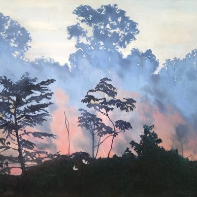 Burning of the Amazon landscape painting by Claire Cansick