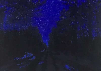 Norfolk artist nocturnal forest Painting