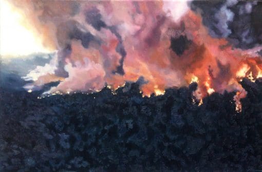 World's Aflame forest fire landscape painting