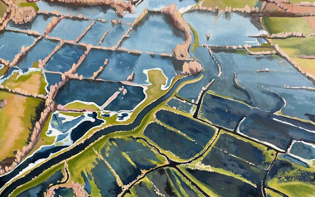 Climate Project 2022 : blog post two