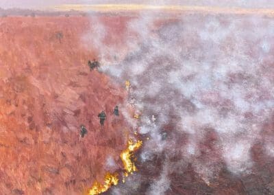 Argentina Wetland Fires 18.02 Reuters painting