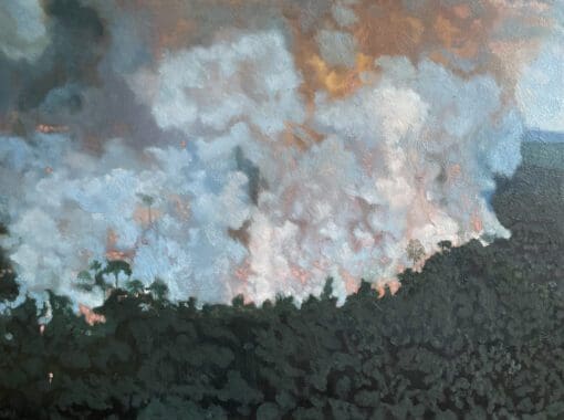 oil painting of Our Amazon rainforest on fire