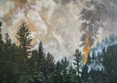 New Mexico 13.05 Jim Weber painting of a forest fire