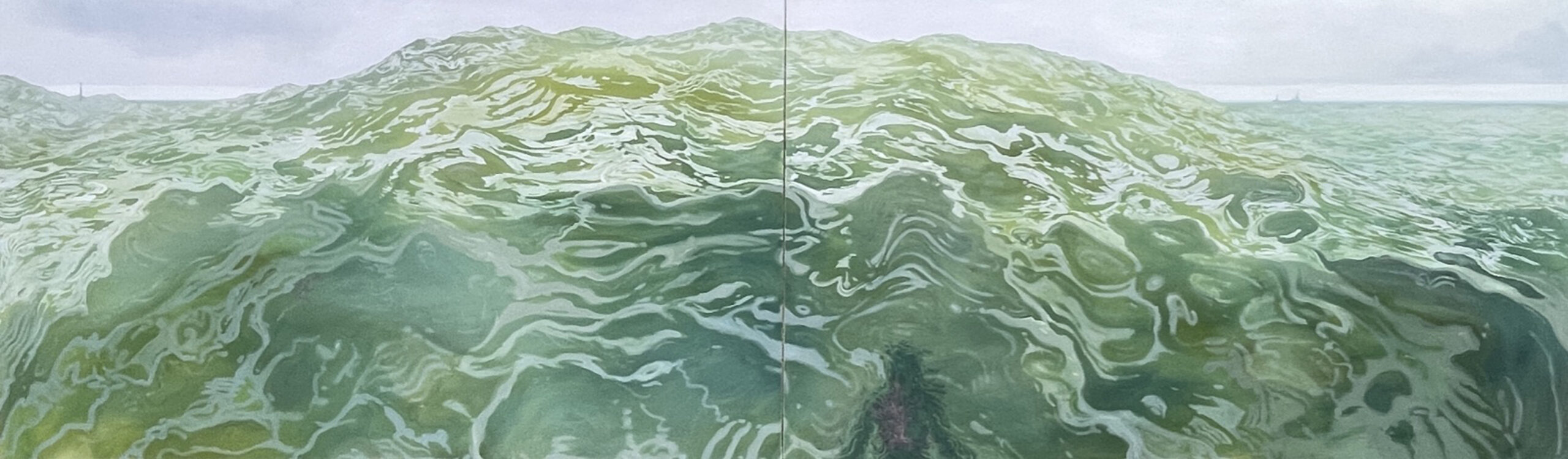 TBA Artist Collective: Five Years - Claire Cansick