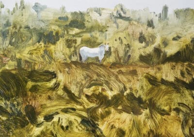 Horse in a Field by Claire Cansick