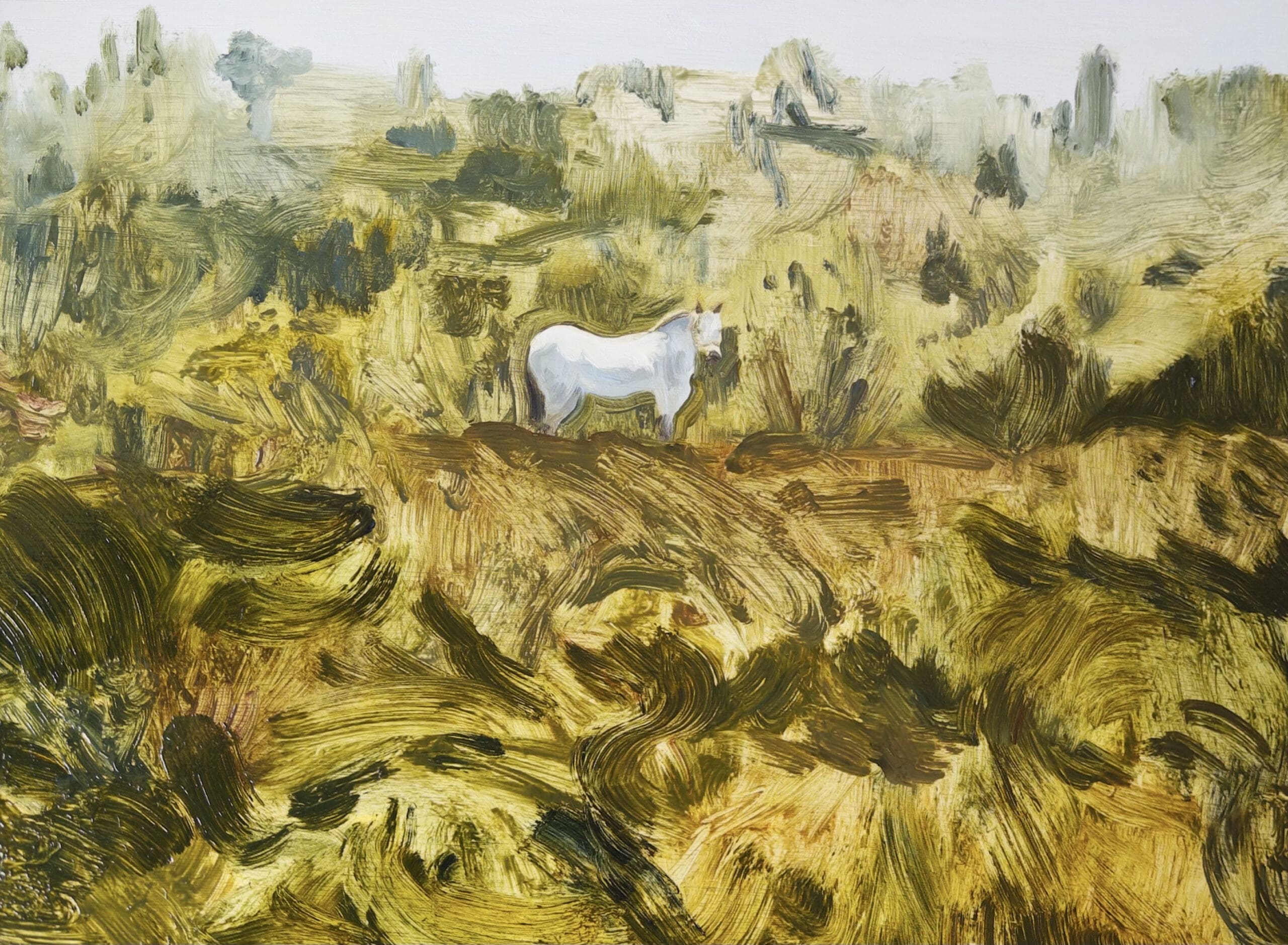 Horse in a Field by Claire Cansick