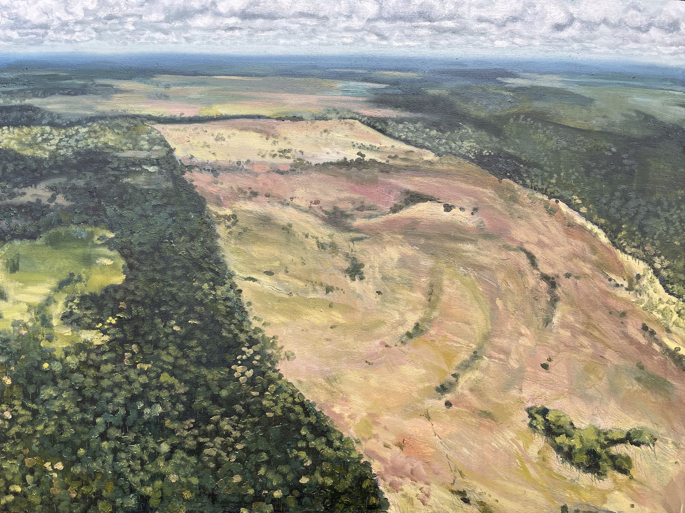 Deforestation, Amazon 26.03 Greenpeace