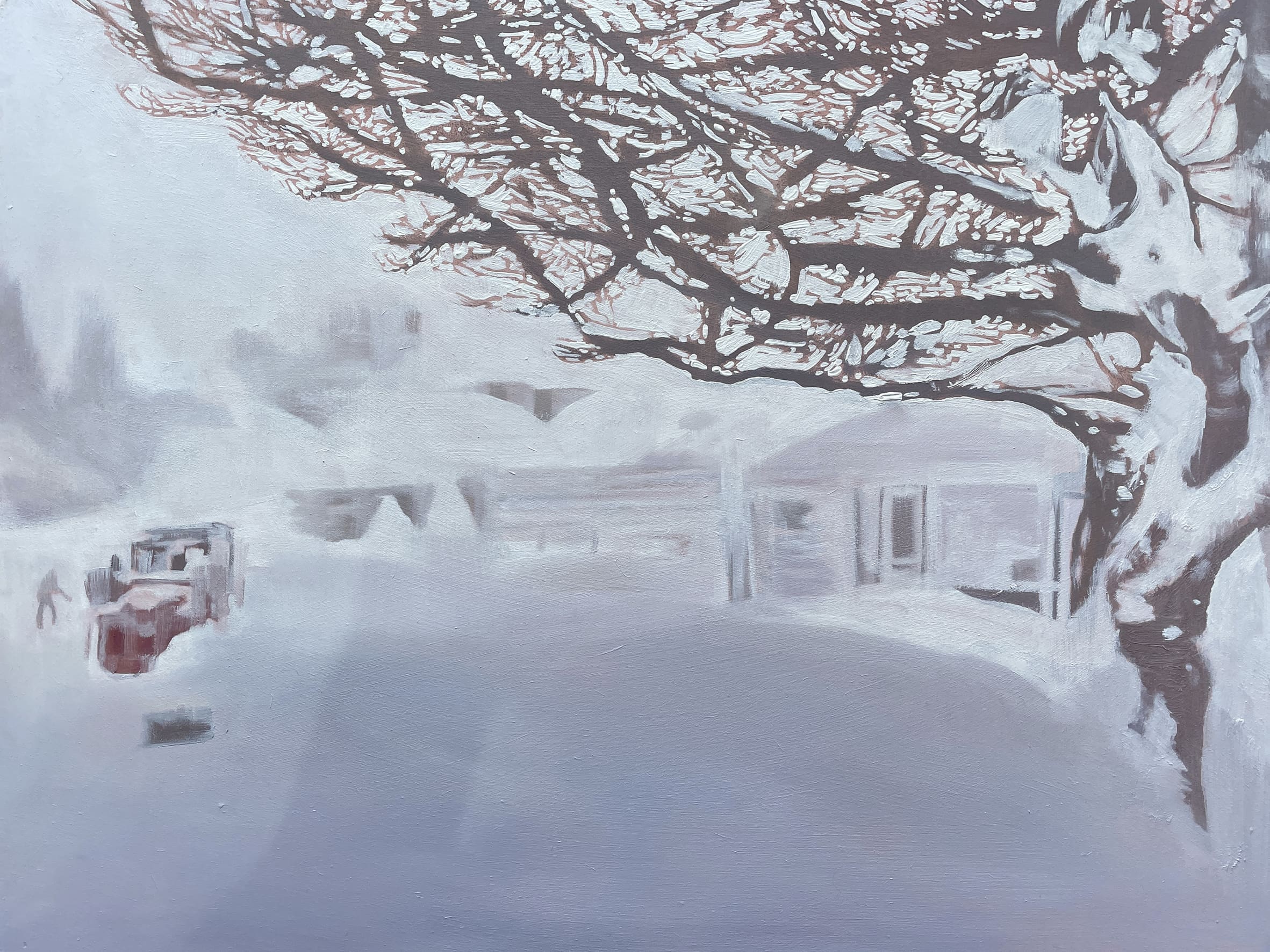 Historic Snowfall New York State 19.11 BBC