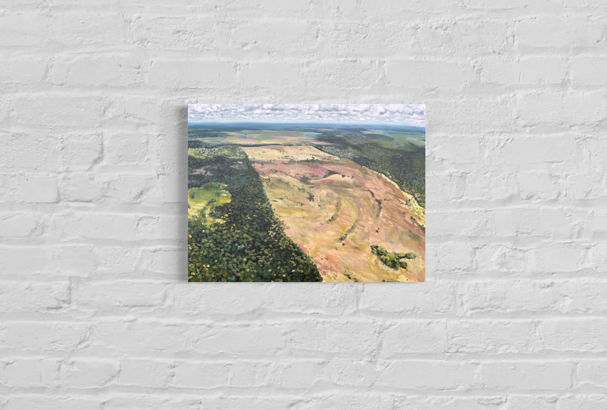 Deforestation, Amazon 26.03 Greenpeace - Image 2