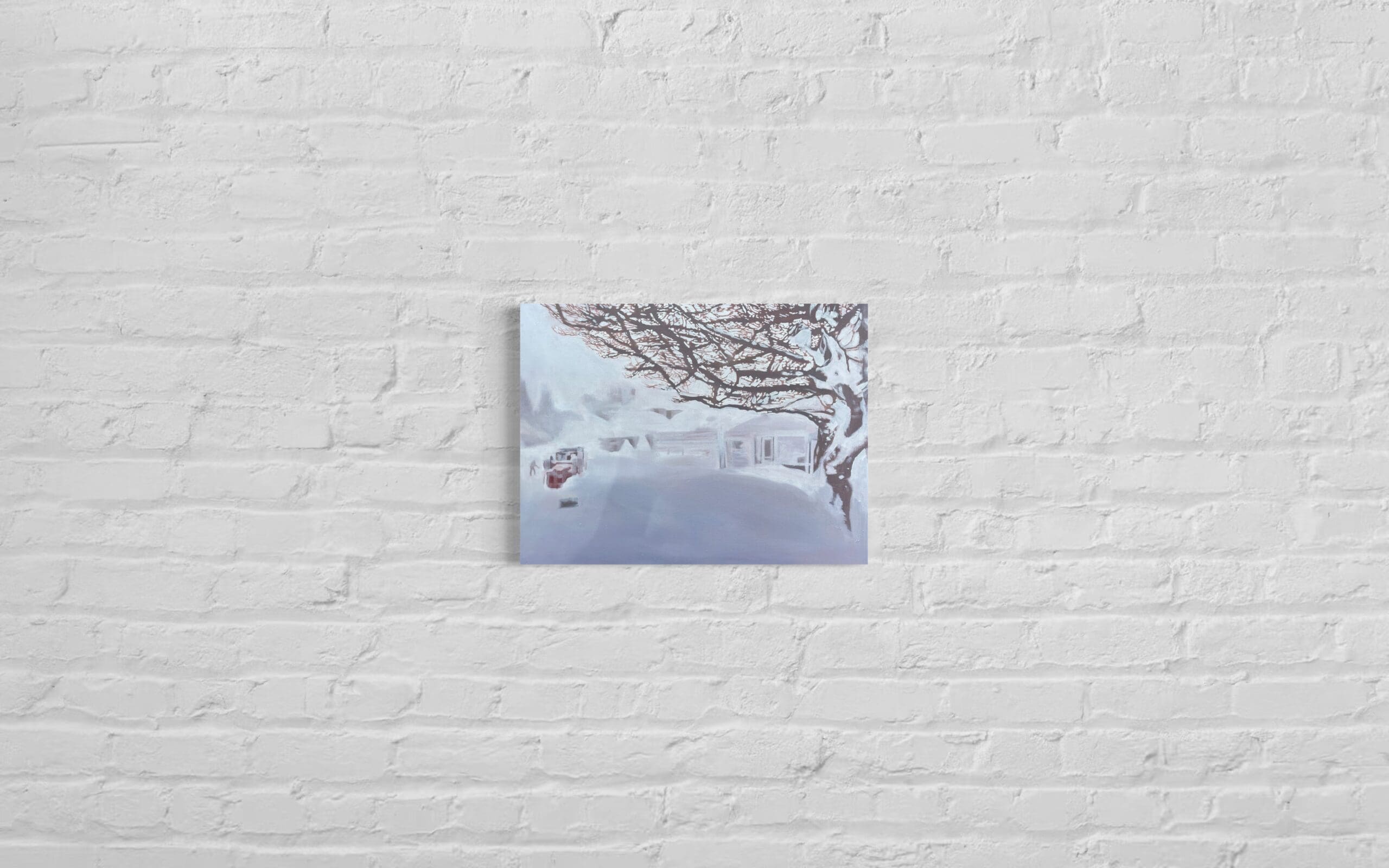 Historic Snowfall New York State 19.11 BBC - Image 2
