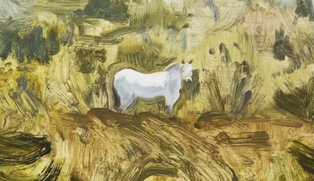 Horse - Image 3